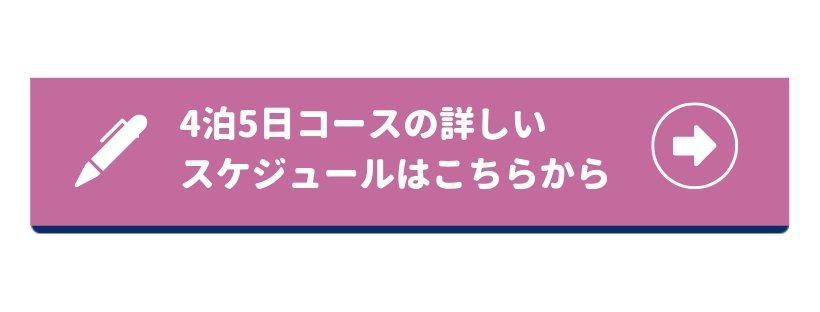 アチーブイングリッシュキャンプ｜英語が好きになる国内キャンプ