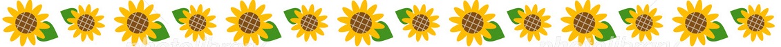 summer line sunflower